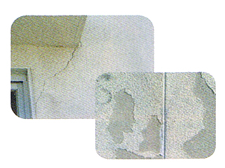 �q�r����E����