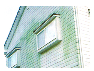 �J�r�ނ�E����